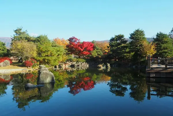 あがたの森公園の写真・動画_image_205434