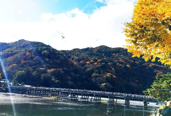 渡月橋