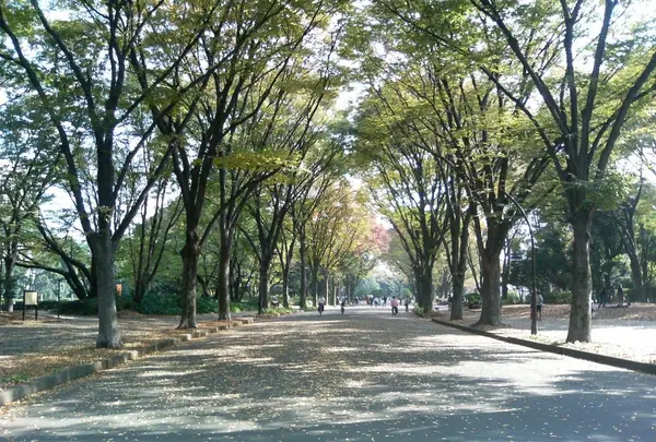 駒沢オリンピック公園の写真・動画_image_205896