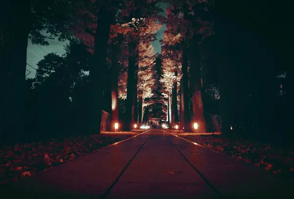 大田黒公園