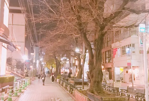 メルサ通り