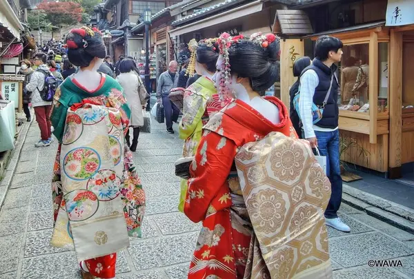 ねねの道