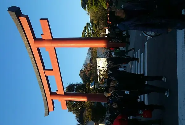鶴岡八幡宮の写真・動画_image_207253