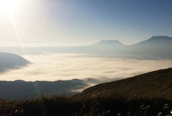 大観峰の写真・動画_image_207446