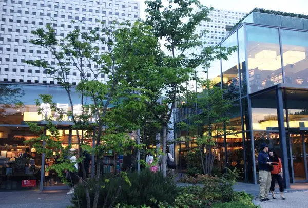 代官山 蔦屋書店(TSUTAYA)