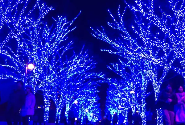 渋谷公園通りの写真・動画_image_208278