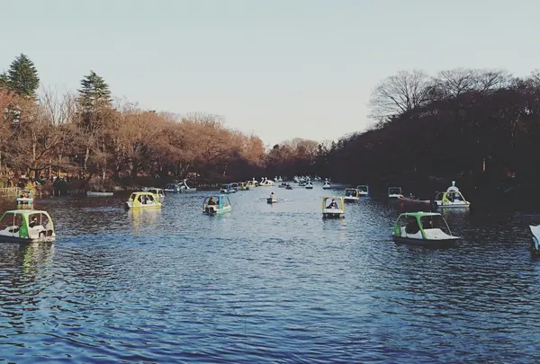 井の頭恩賜公園の写真・動画_image_209431
