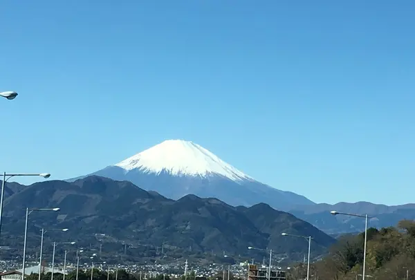 東名高速道路