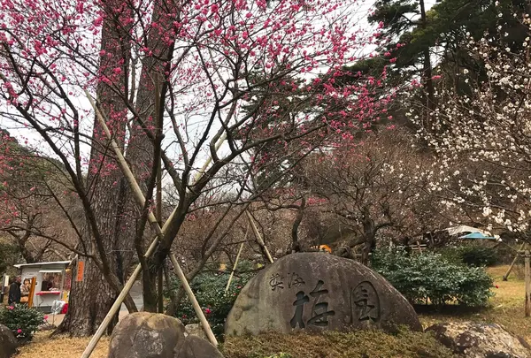 熱海梅園
