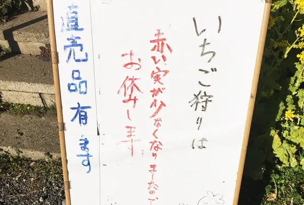 安田いちご園