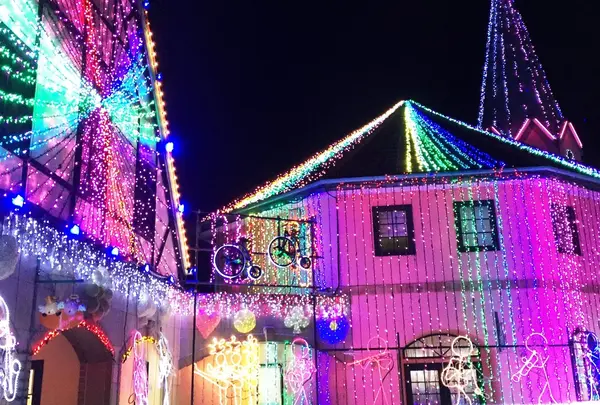 東京ドイツ村の写真・動画_image_212742