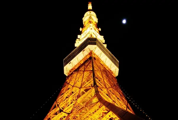 東京タワーの写真・動画_image_212751