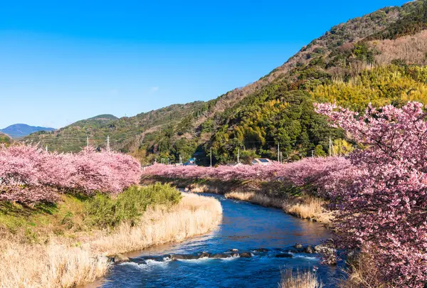河津川