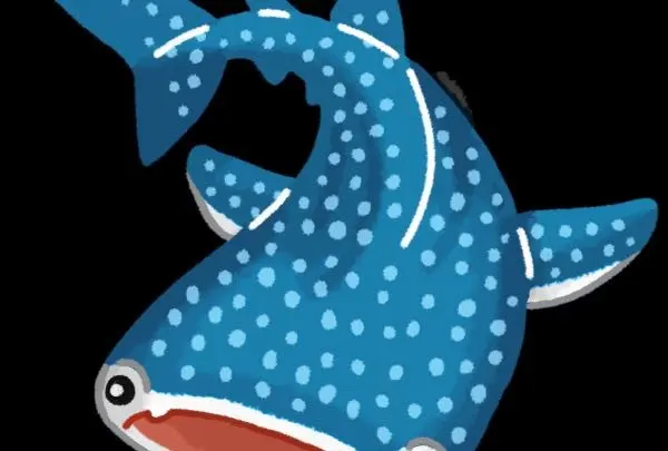 沖縄美ら海水族館の写真・動画_image_213199