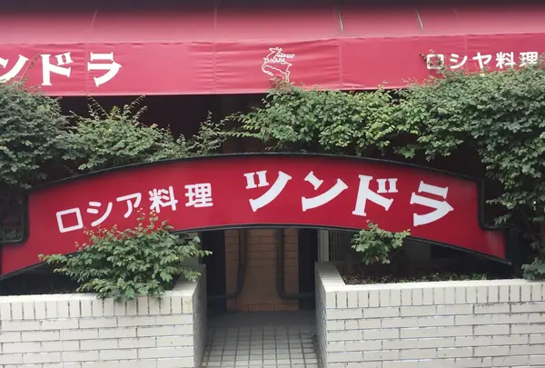 ツンドラの写真・動画_image_213460