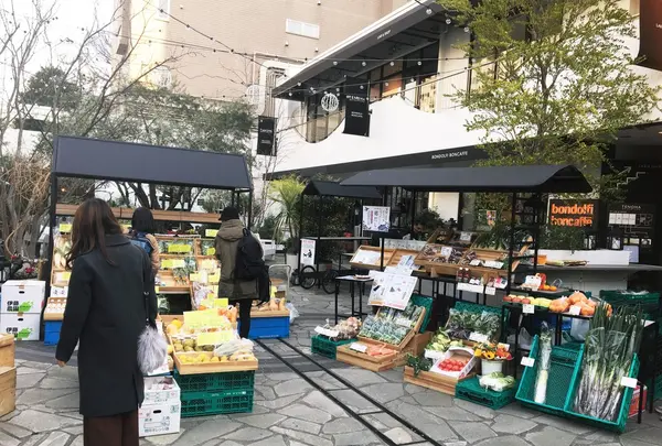 TENOHA & STYLE STORE (テノハ代官山)の写真・動画_image_213461