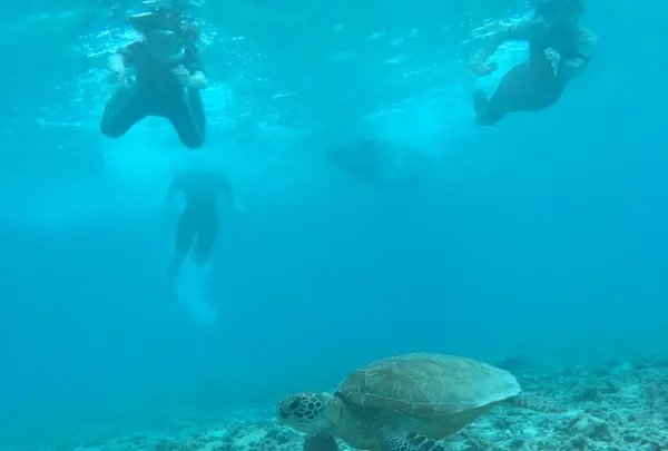 阿真ビーチの写真・動画_image_213910