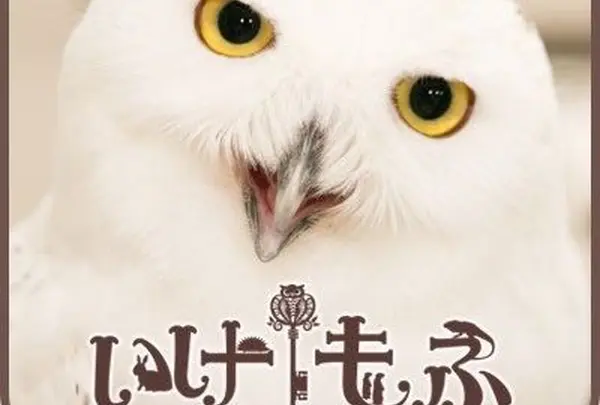 アニマルルームいけもふ