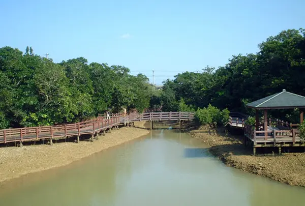 川満マングローブ