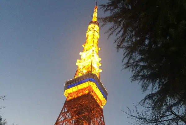 東京タワーの写真・動画_image_215179