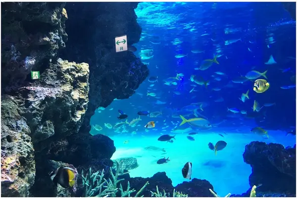 サンシャイン水族館