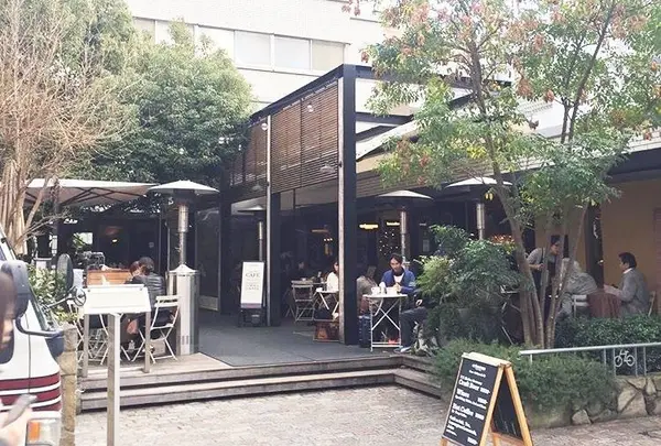 crisscross （クリスクロス）の写真・動画_image_215470