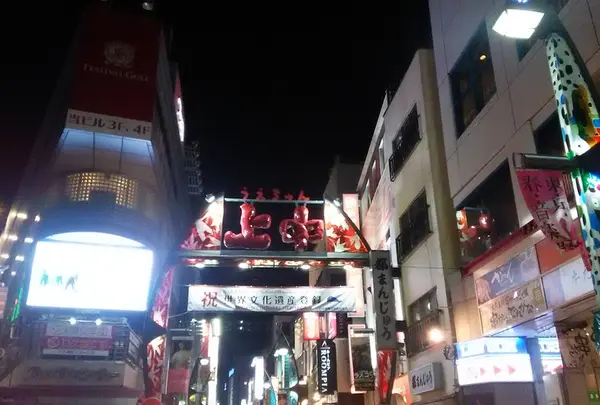 上野中通商店街振興組合の写真・動画_image_215631