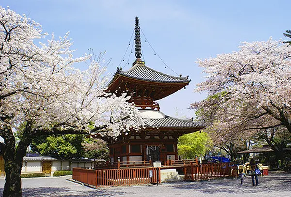 喜多院