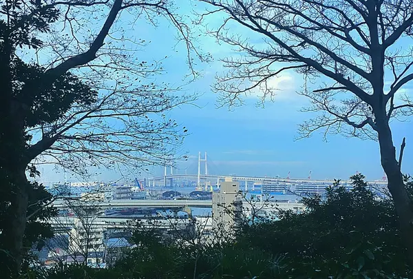 港の見える丘公園の写真・動画_image_215735