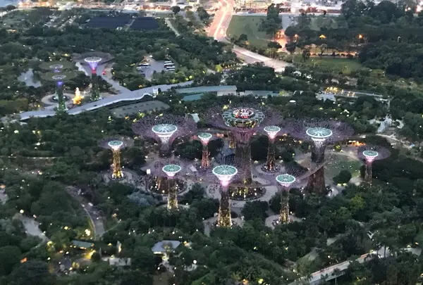 Super Tree Grove（Gardens By The Bay）