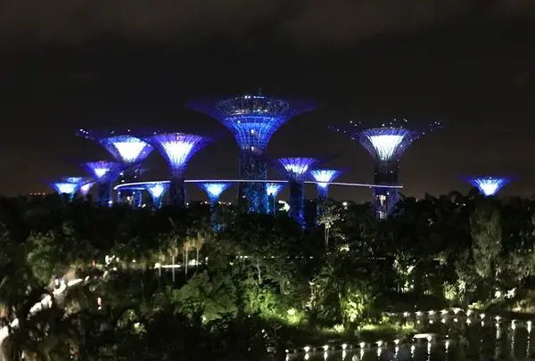 Gardens By The Bay