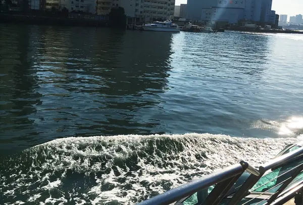 隅田川の写真・動画_image_215795
