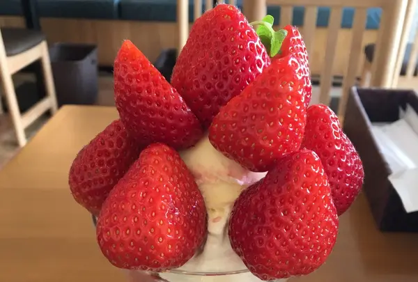 フルーツパーラー むらはたの写真・動画_image_216169
