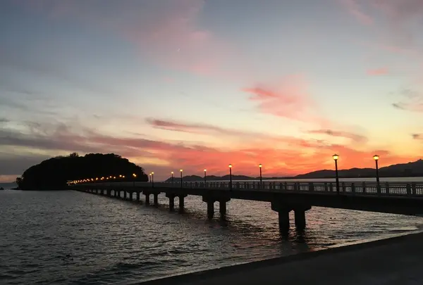 竹島園地から