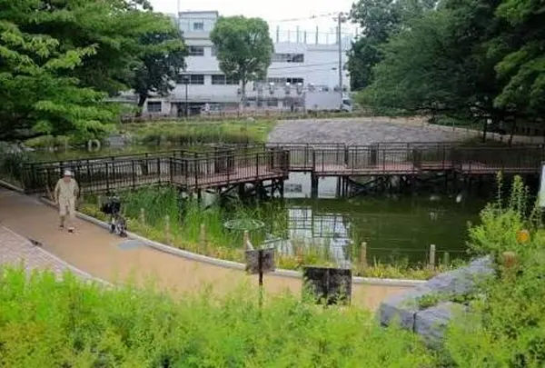 文庫の森の写真・動画_image_216225