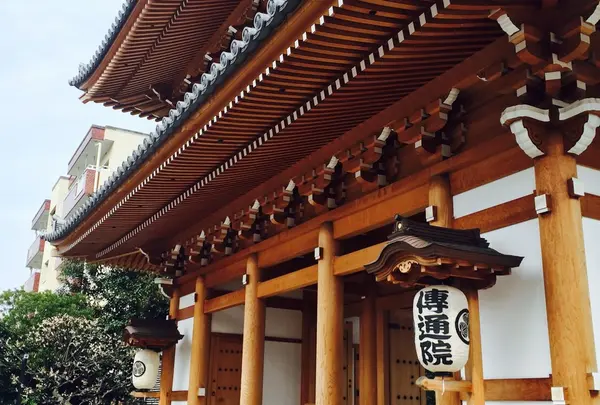 伝通院の写真・動画_image_216516