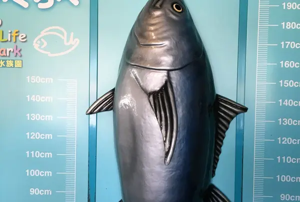 葛西臨海水族園の写真・動画_image_216529