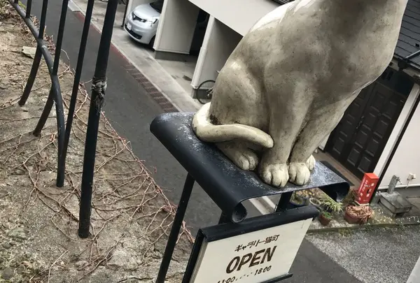 猫町ギャラリーの写真・動画_image_216716