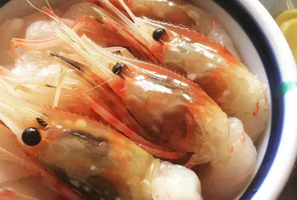 味処 きくよ食堂 本店の写真・動画_image_216787