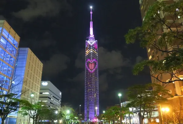福岡タワーの写真・動画_image_216835
