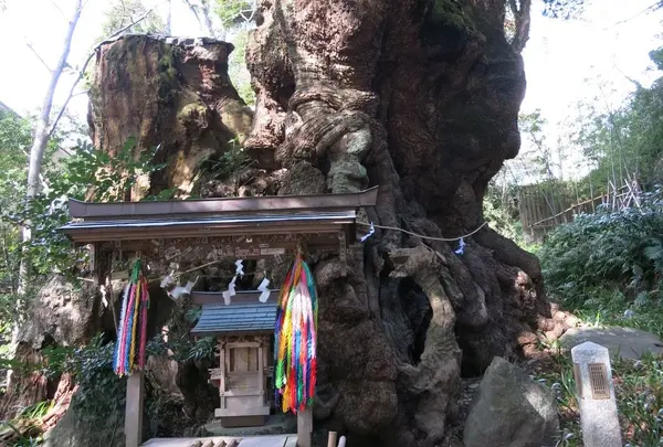 来宮神社