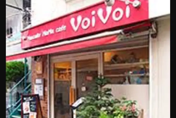 VoiVoi
