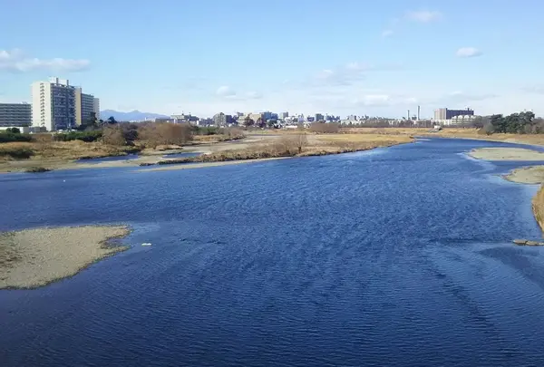 多摩川