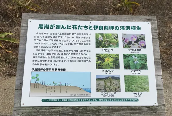 伊良湖岬自然散策路