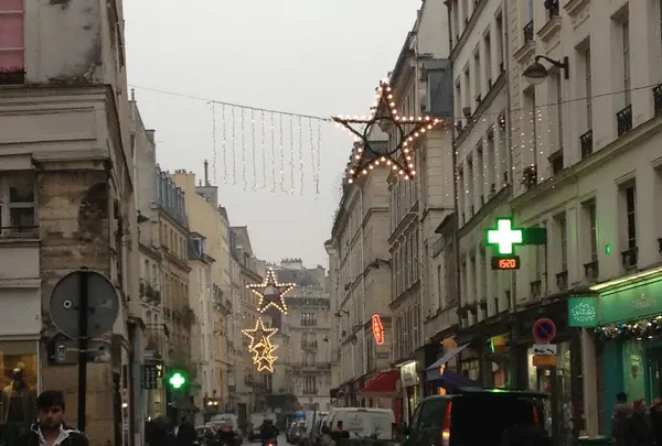 34 Rue des Rosiers