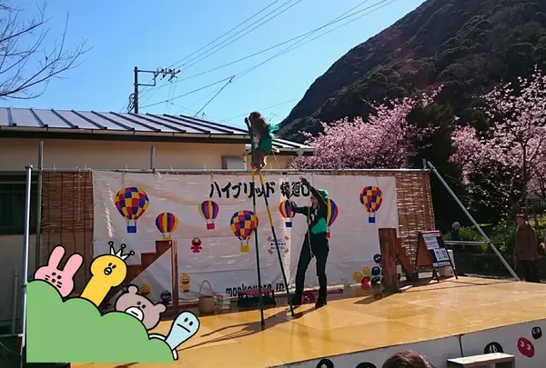 ハイブリッド猿回し