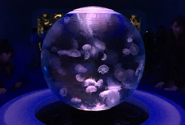 新江ノ島水族館