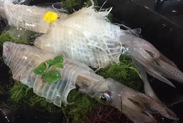 河太郎 呼子店の写真・動画_image_218248