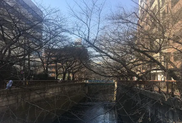 目黒川