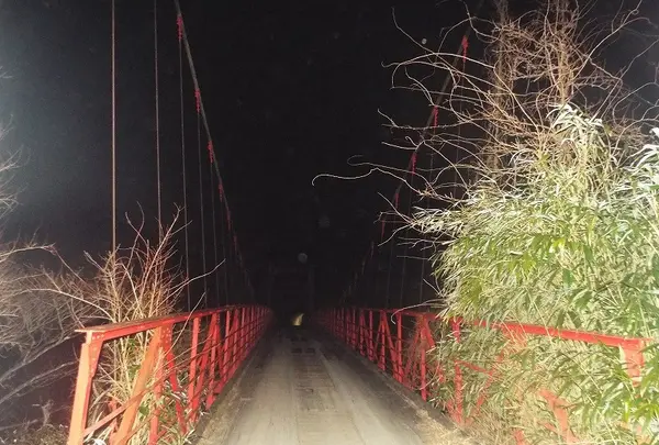 金山ダムの写真・動画_image_218631